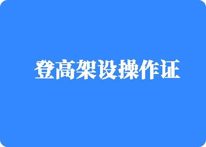 免费网站,操逼登高架设操作证